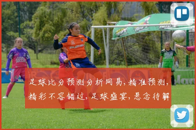 足球比分预测分析网易,精准预测,精彩不容错过,足球盛宴,悬念待解,一触即发。
