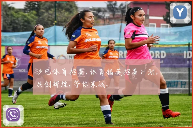 沙巴体育招募,体育精英招募计划,共创辉煌,等你来战,